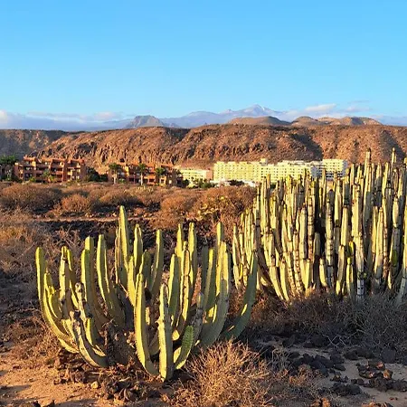 Casa Ella * Palm-mar
