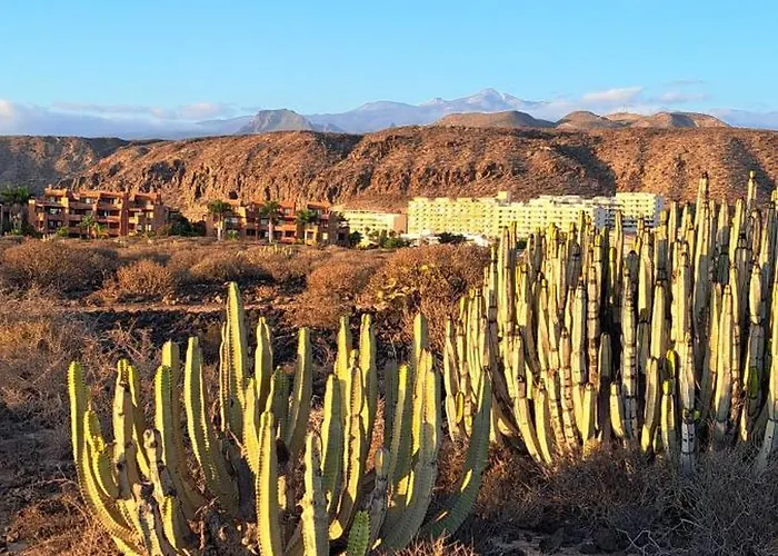 Casa Ella * パルム・マール